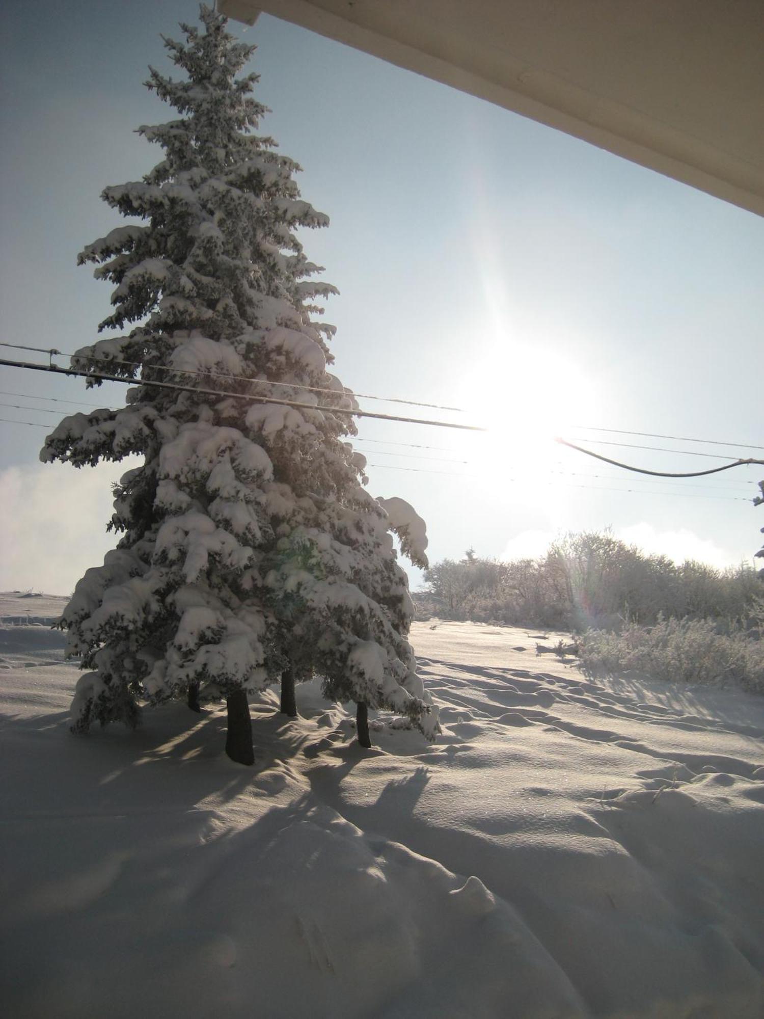 Albergo Casa Della Neve ستريزا المظهر الخارجي الصورة